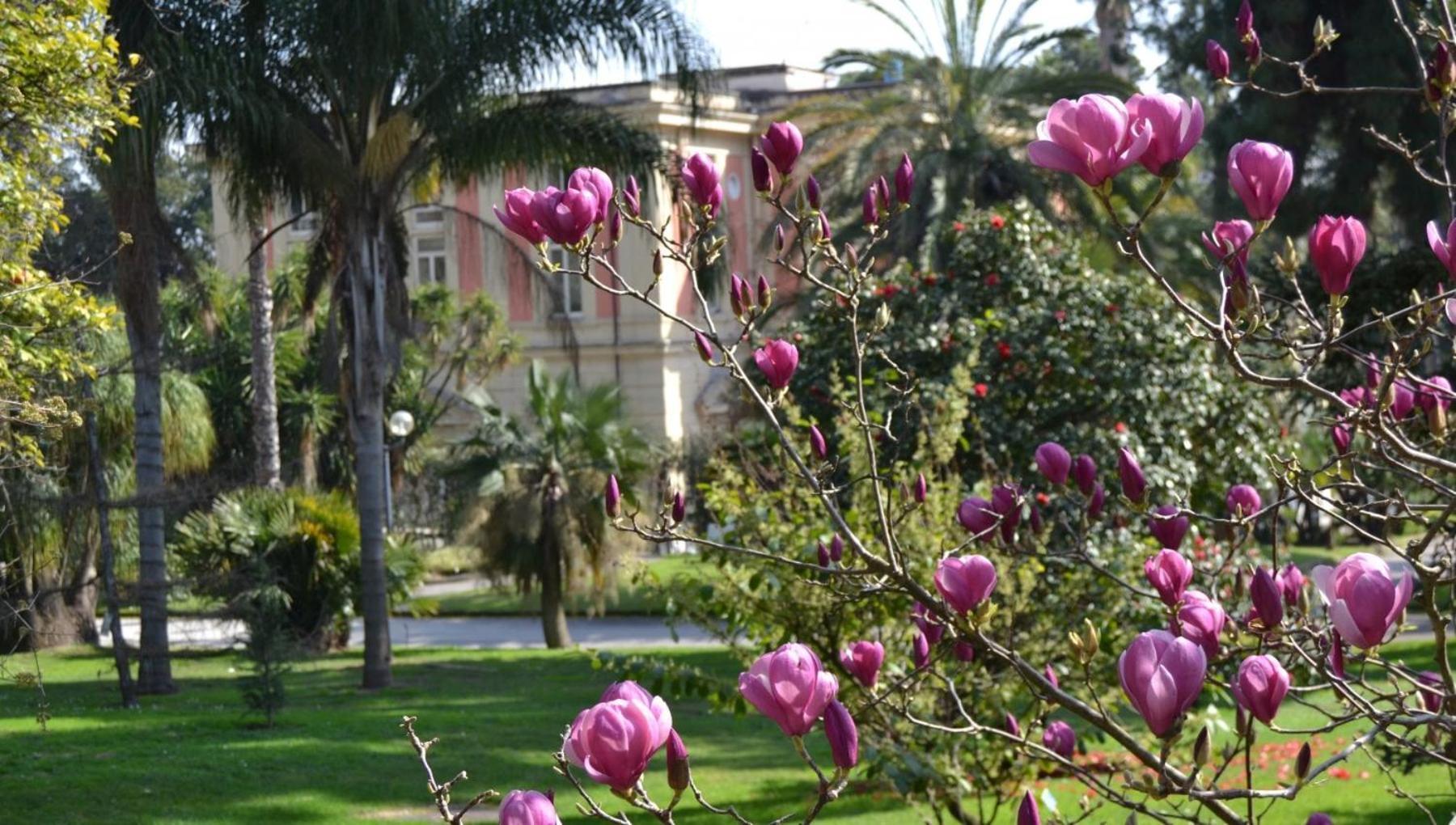 ナポリ Casina Via Foria Bed & Breakfast エクステリア 写真